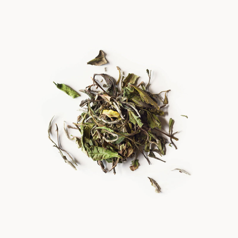A pile of White Peony tea leaves on a white background by Rishi Tea & Botanicals.