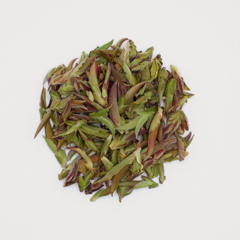 A pile of Wild Silver Needles from Rishi Tea & Botanicals, possibly herbs or aromatic infusion tea, on a white background.
