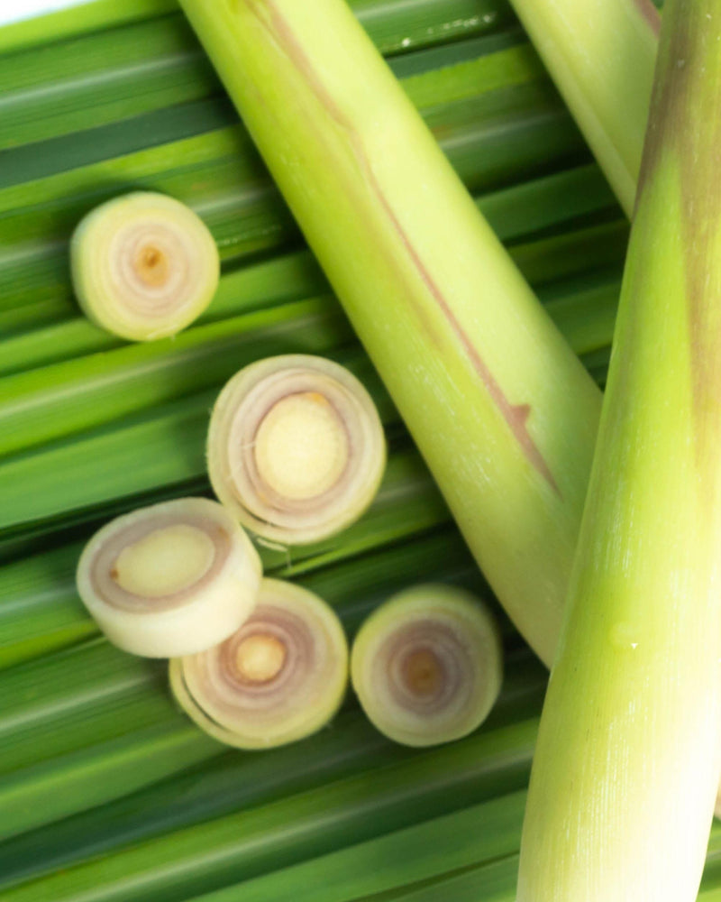 Lemongrass