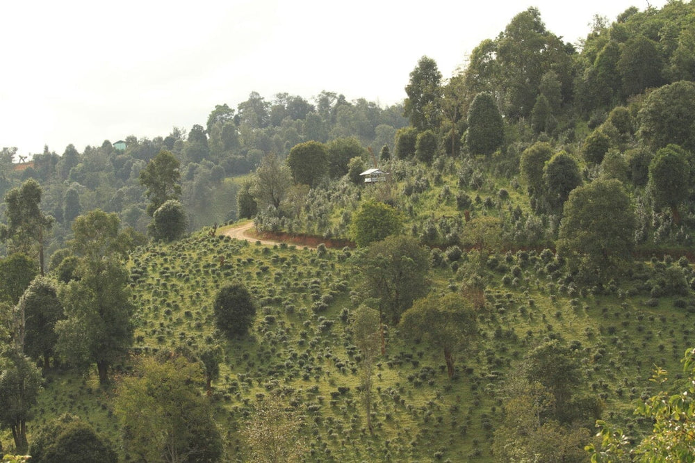 Shan State, Burma