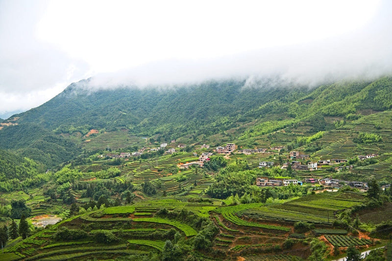 Anxi, Fujian, China