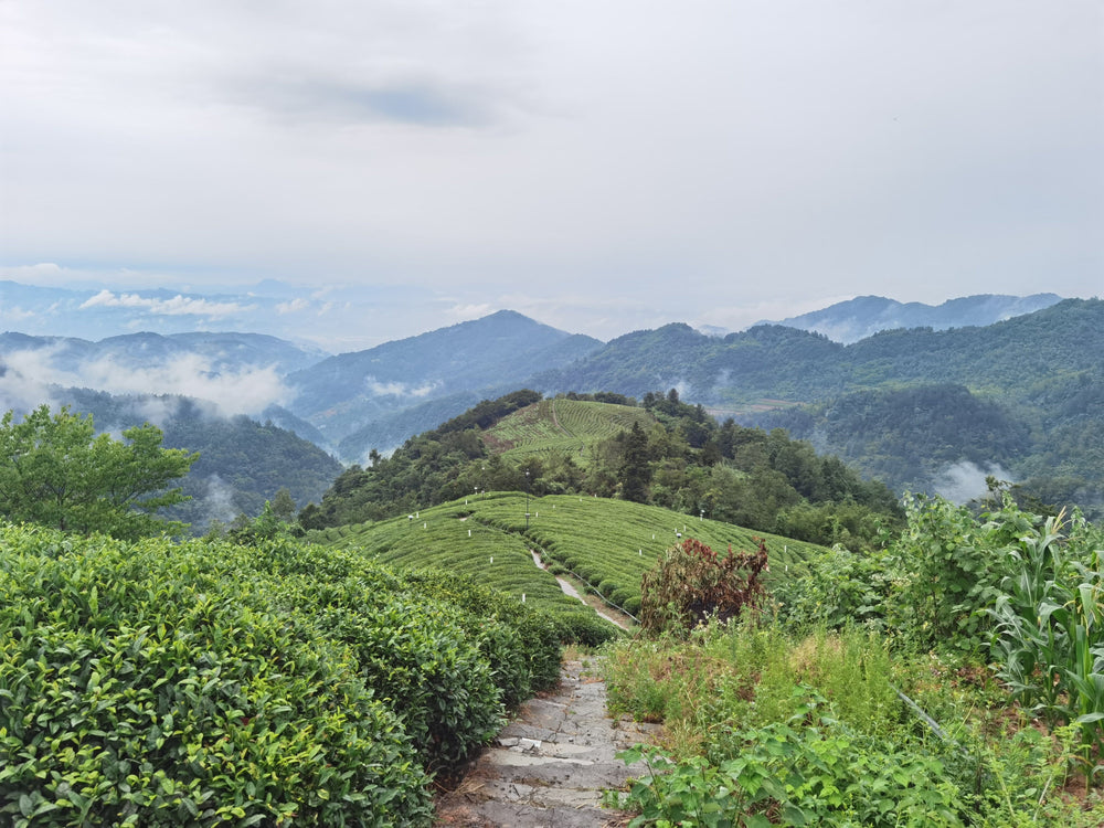 Baokang, Hubei, China