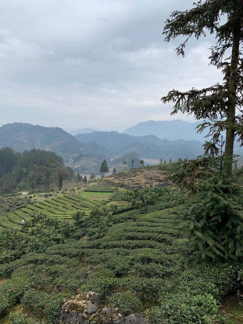 Enshi, Hubei, China