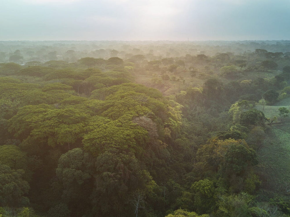 Nicaragua