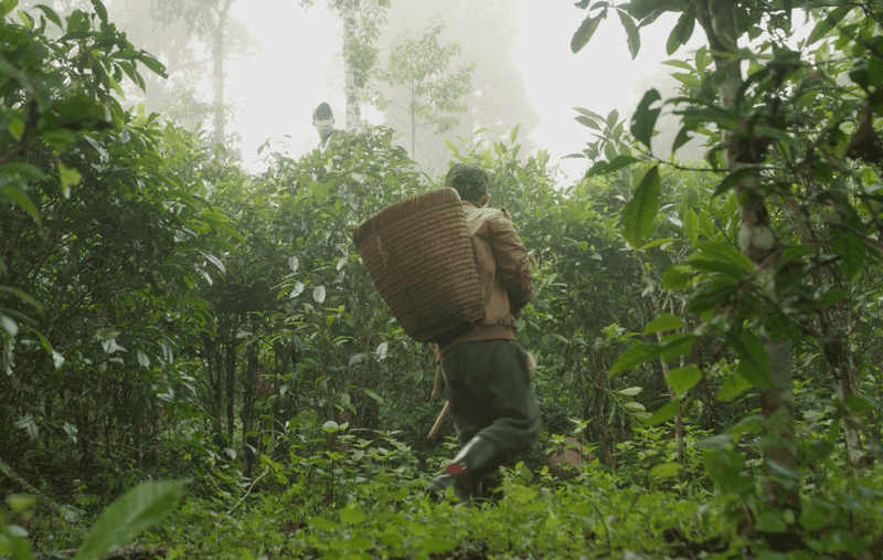 Xiengkhuang, Laos