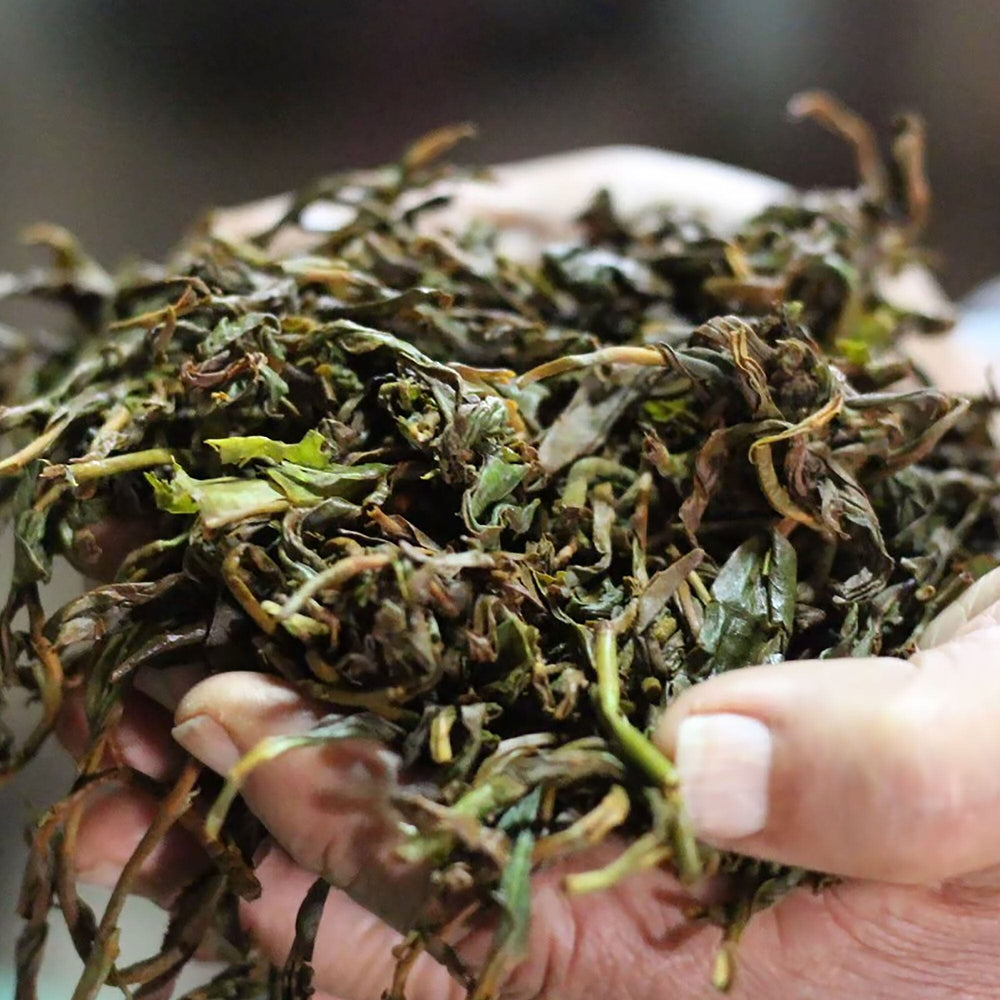  Customer reviews: Panda Tea - Organic Cleanse Tea
