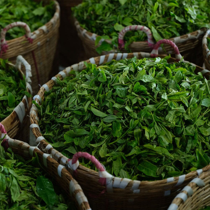 Pu’er Tuo Cha Tangerine Peel hover image