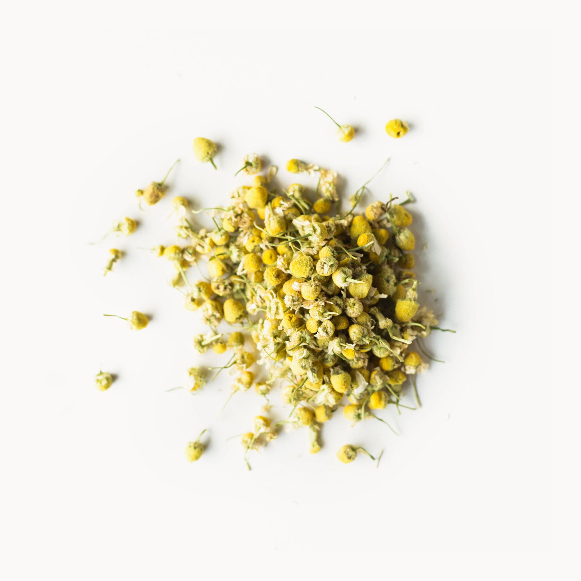 Golden Chamomile Blossoms | Rishi Tea