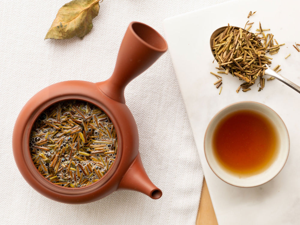 Rishi Tea Simple Brew Loose Leaf Teapot, 13.5 Ounces (400ml)