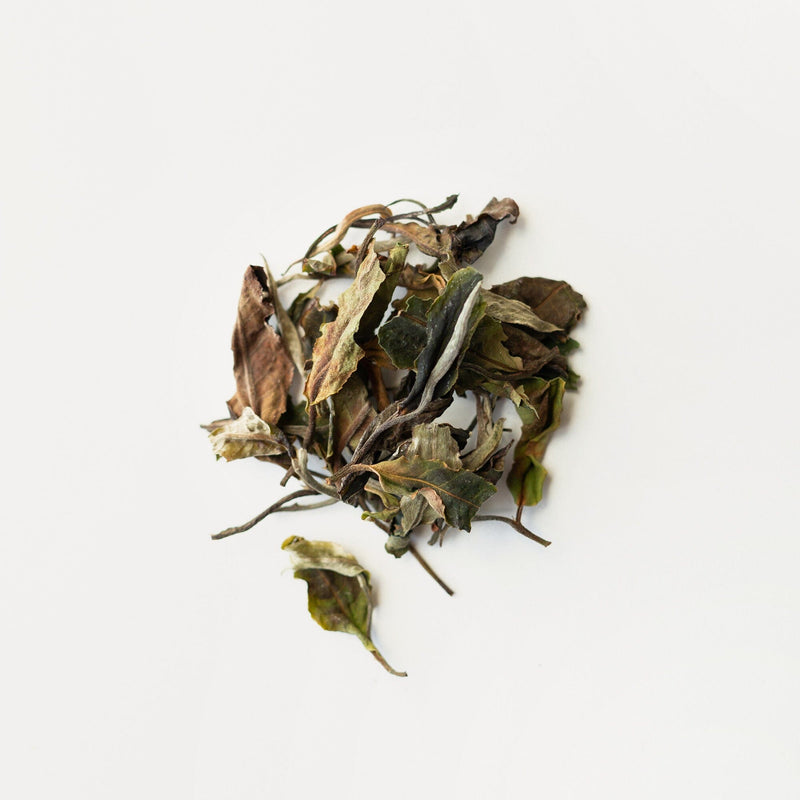 A small pile of Wild Thai White leaves from Rishi Tea & Botanicals on a white background exudes a subtle floral aroma, reminiscent of delicate white tea.