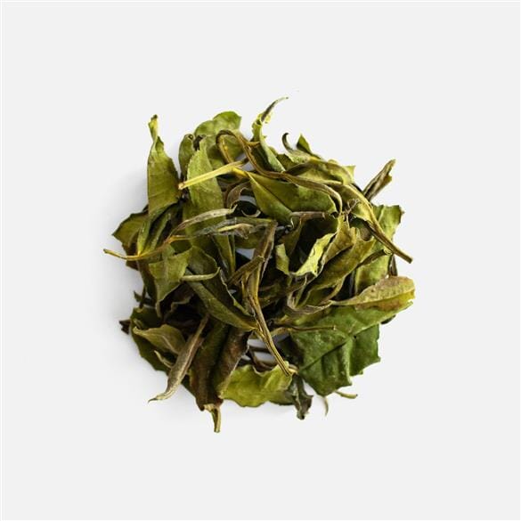 Shan Bai Cha White Tea No. 1 leaves on a white background by Rishi Tea & Botanicals.